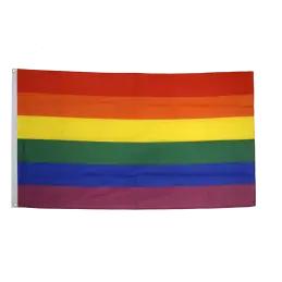 Regnbue flag i stof (90x150 cm) - Regnbue / Pride flag