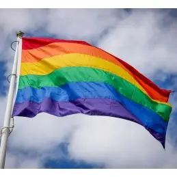 Regnbue flag 150 cm til 5-6 m. flagstang - Regnbue / Pride flag