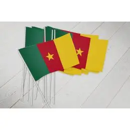 Cameroon vifteflag i papir (20x27 cm) - Papirflag
