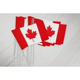 Canada vifteflag i papir (20x27 cm) - Papirflag