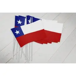 Chile vifteflag i papir (20x27 cm) - Papirflag