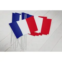 Frankrig vifteflag i papir (20x27 cm) - 