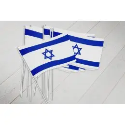 Israel vifteflag i papir (20x27 cm) - 