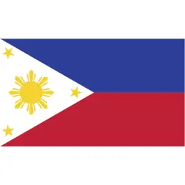 Filippinerne kageflag i papir (30x48 mm) - 