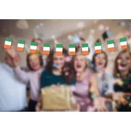 Irland guirlande i papir (20x27 cm) - 