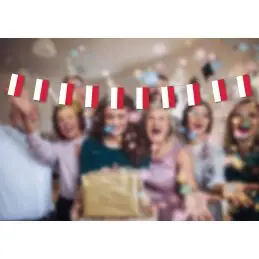 Polen guirlande i papir (20x27 cm) - 