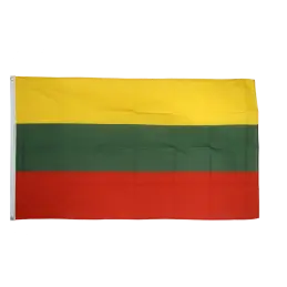Litauen flag i stof (90x150 cm) - 