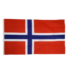 Norge flag i stof (90x150 cm) - 