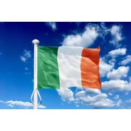 Irland 225 cm, 8-9 mtr. flagstang - 