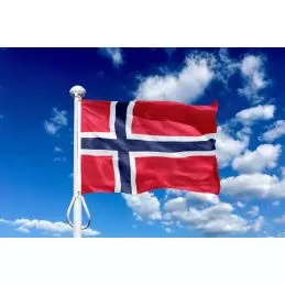 Norge 225 cm, 8-9 mtr. flagstang - 