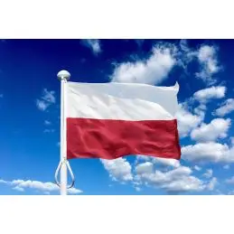 Polen 225 cm, 8-9 mtr. flagstang - 
