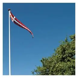 DK Stander 700x150 cm, 20-22 meter stang - Dannebrog  af polyester