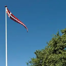 DK stander 150x50 cm - Standere